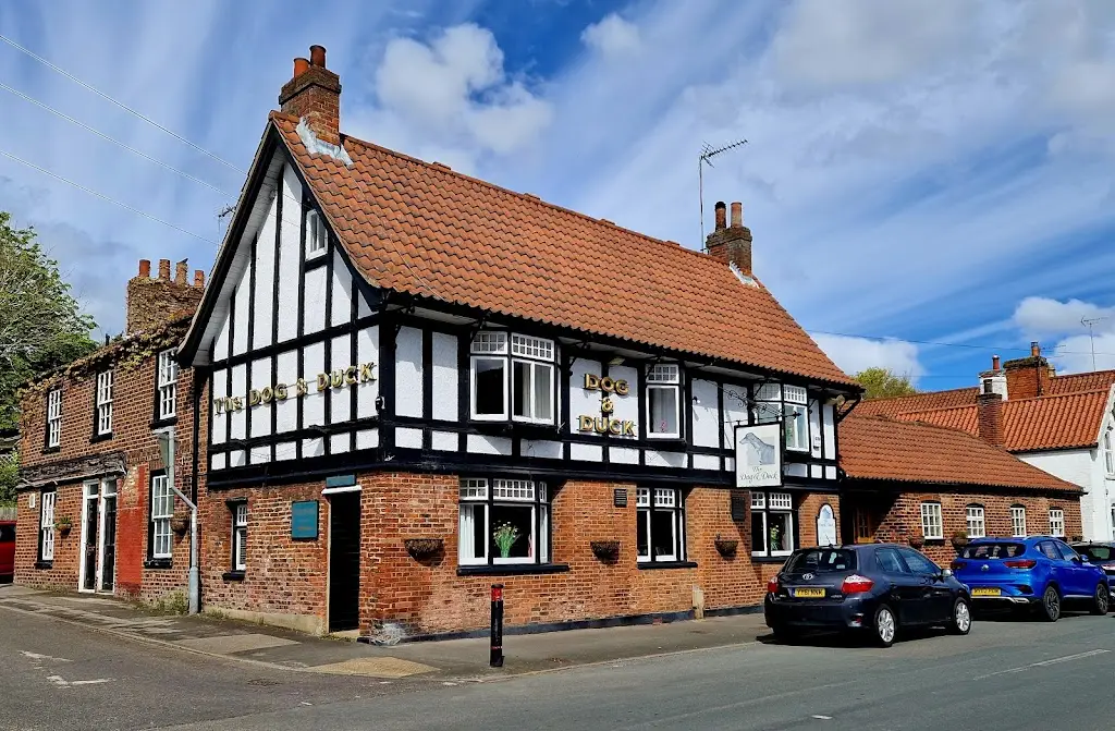 Dog & Duck_Walkington_slider_image_3