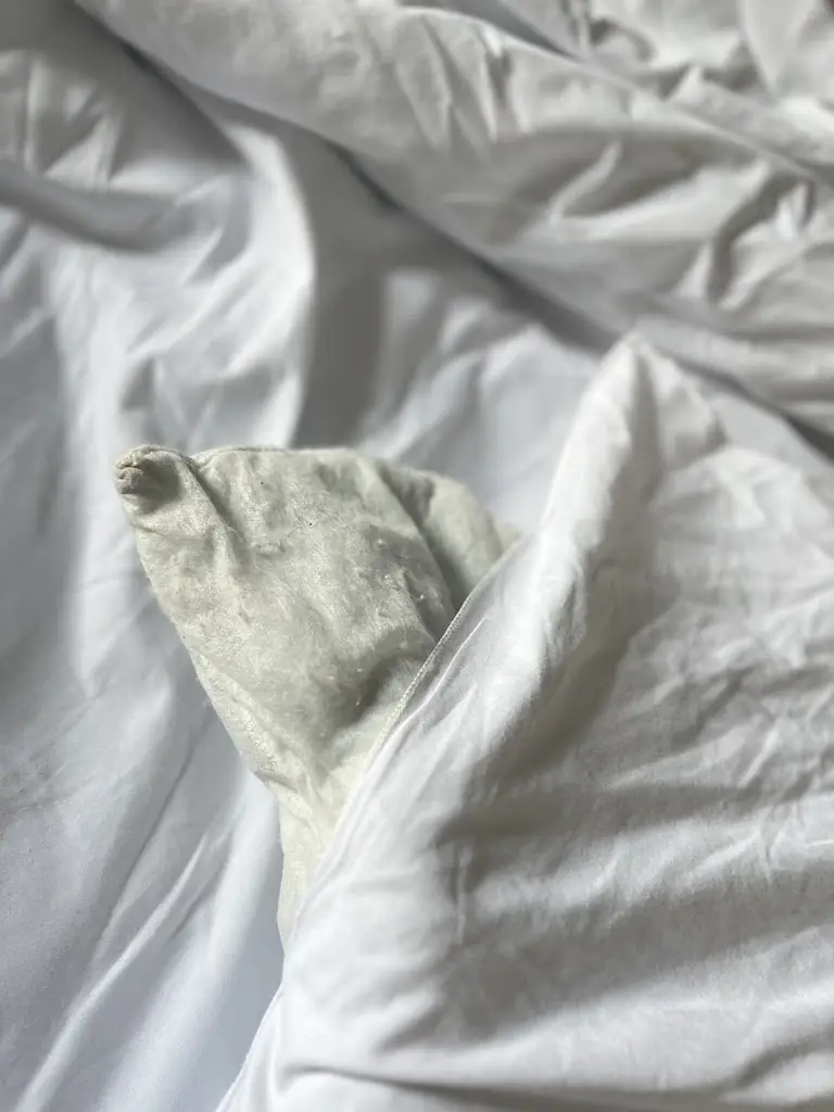 Ernesta Vasiljevaitė_The Sun Inn_Ulverston_review