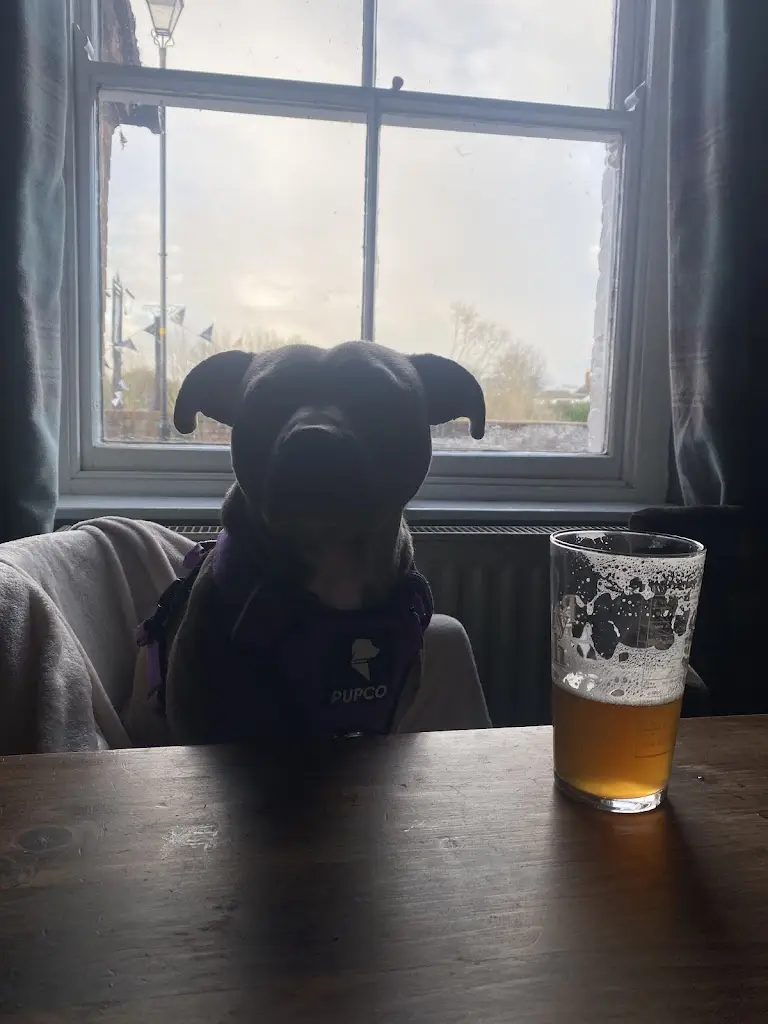 Kate_The Kings Head_Upton_review