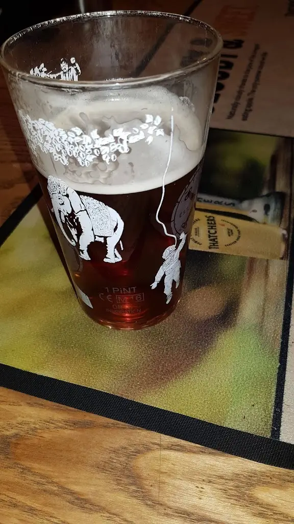 Menu_Plough Inn_Upton upon Severn_image_3