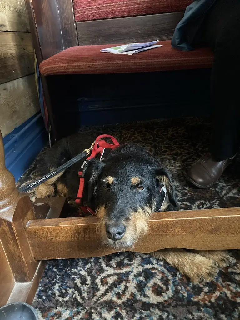 Derek_Plough Inn_Upton upon Severn_review