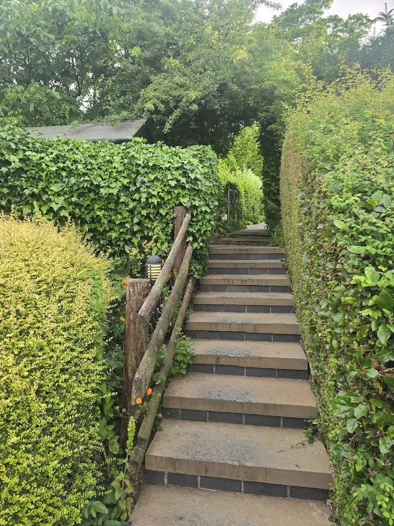 Adam Heiss_The Walnut Tree_Wales_review