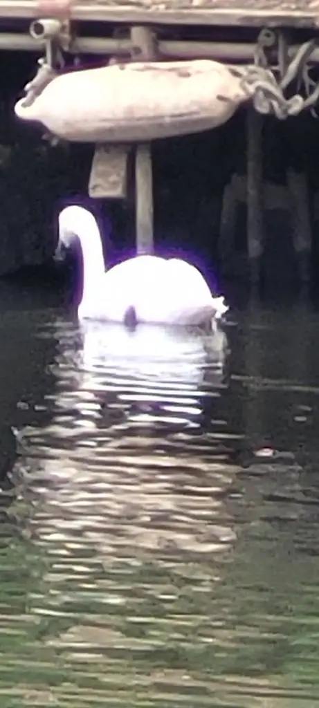 Mark Pennells_Ramblers Rest Wateringbury_Wateringbury_review