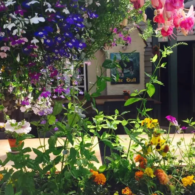 The Bull_Watton at Stone_slider_image_3