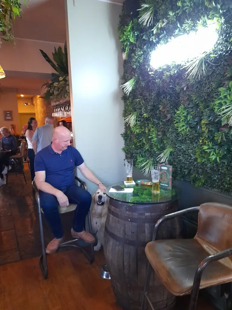 Phill Mac_Novellos Washington_Washington_review