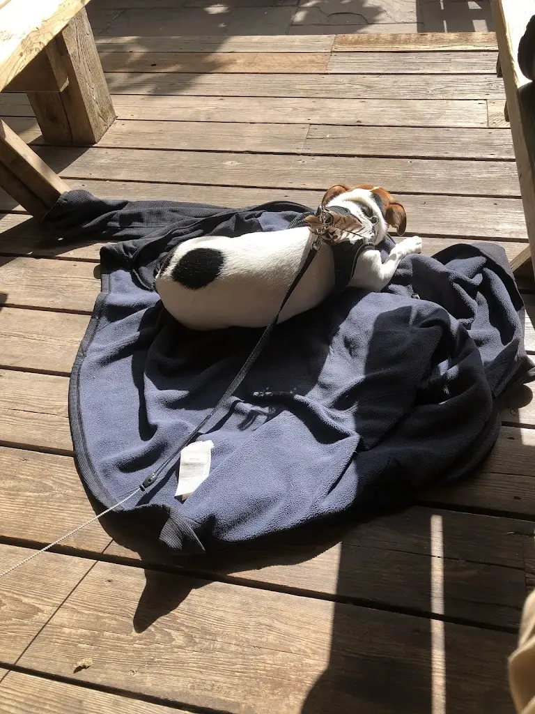 Colin Rouse_The Fox & Hounds_Watlington_review