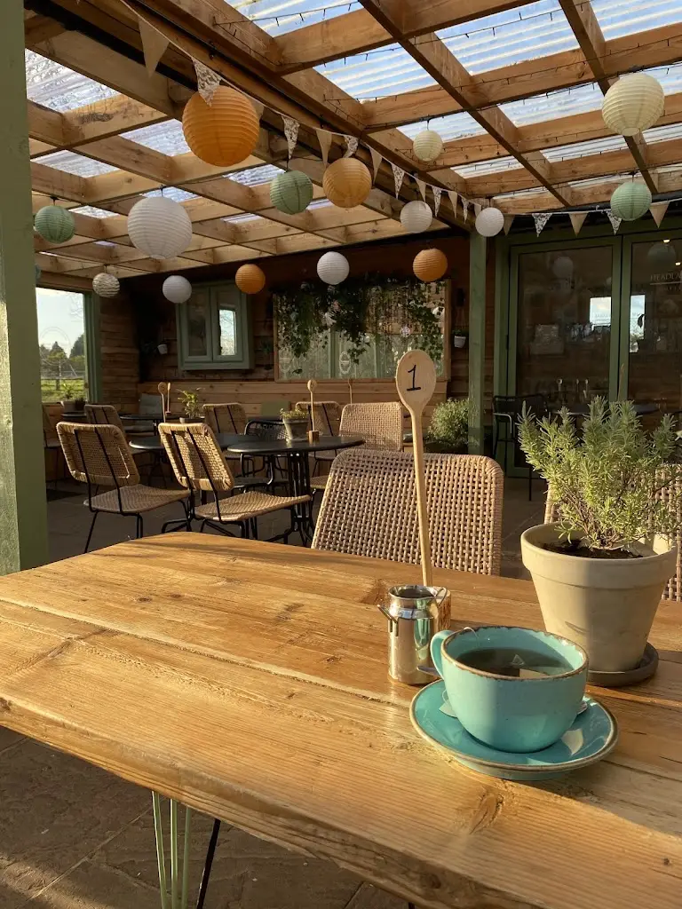 Rachel O'Brien_Headlands Farm Coffee Shop West Wellow_Wellow_recensione