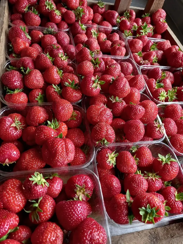 Menu_The Fox & Hounds_Bedale_image_8