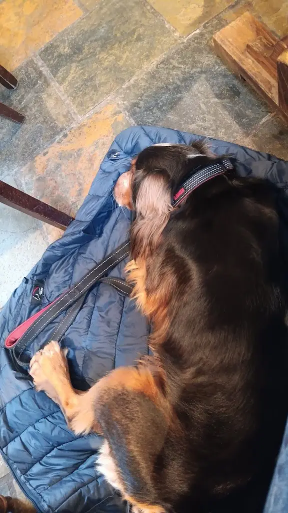 Donna Downes_The Stags Head_Wellesbourne Mountford_reseña