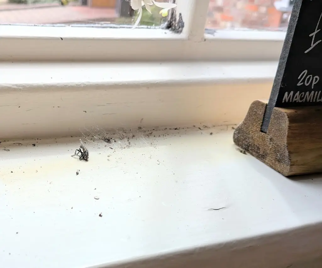 Andy corkill_Red Rover_West Wellow_review