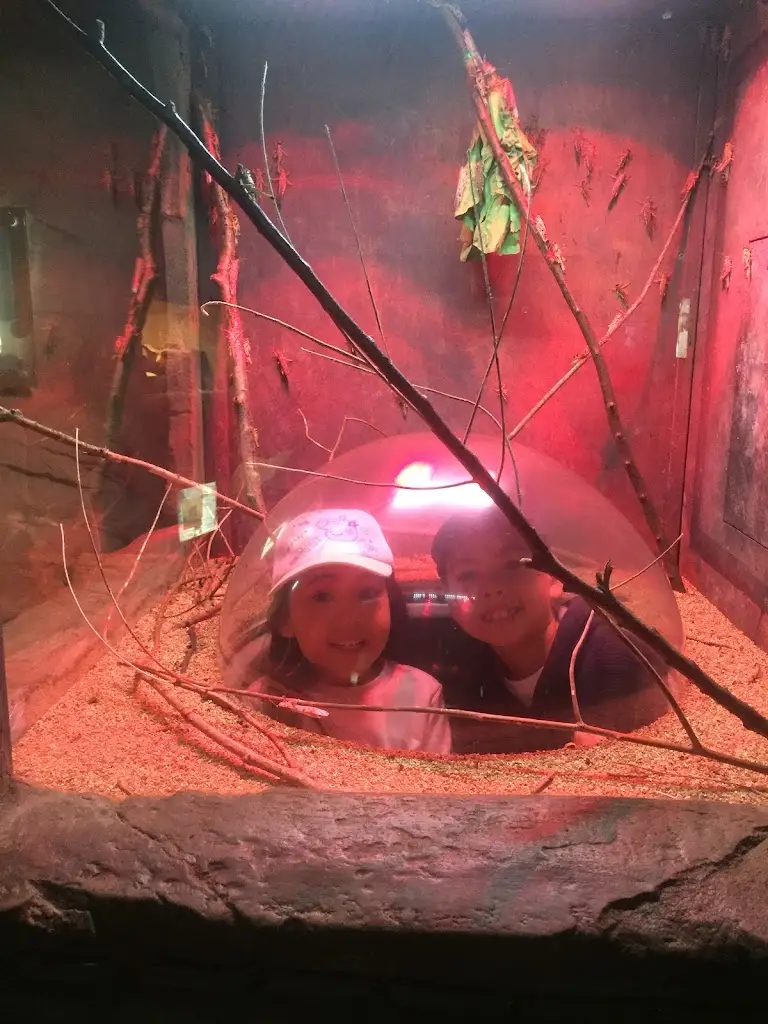 The Hay Barn_West Wellow_slider_image_2