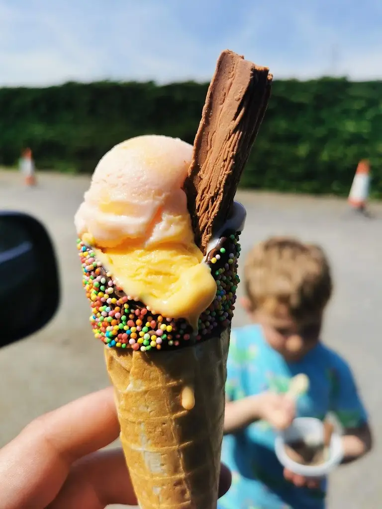 Menu_Carlo's Ices & Tea Rooms_West Wellow_image_8