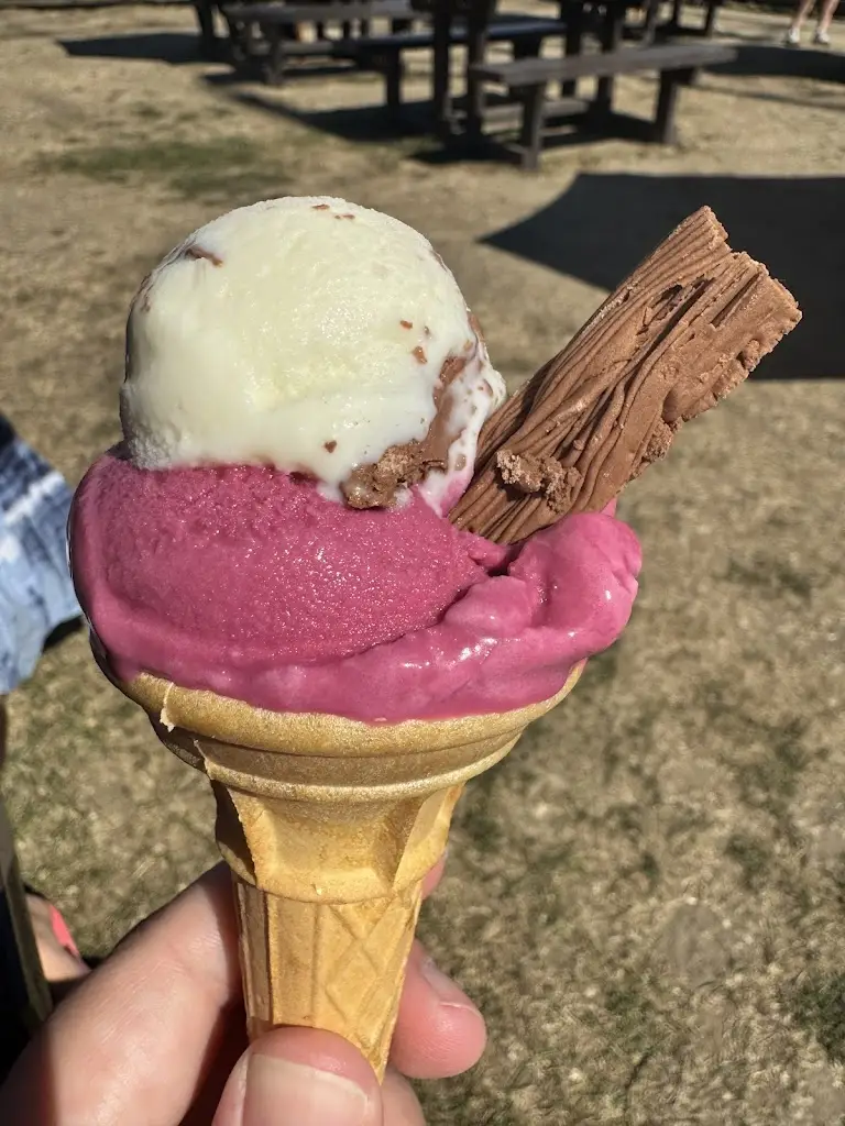 Lisa D_Carlo's Ices & Tea Rooms_West Wellow_review