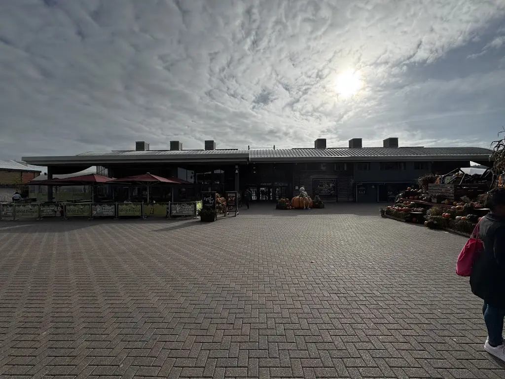 Wild Forest Family Restaurant_West Wellow_slider_image_3