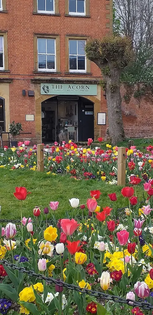 Di Bell_The Acorn Somerset_West Coker_review