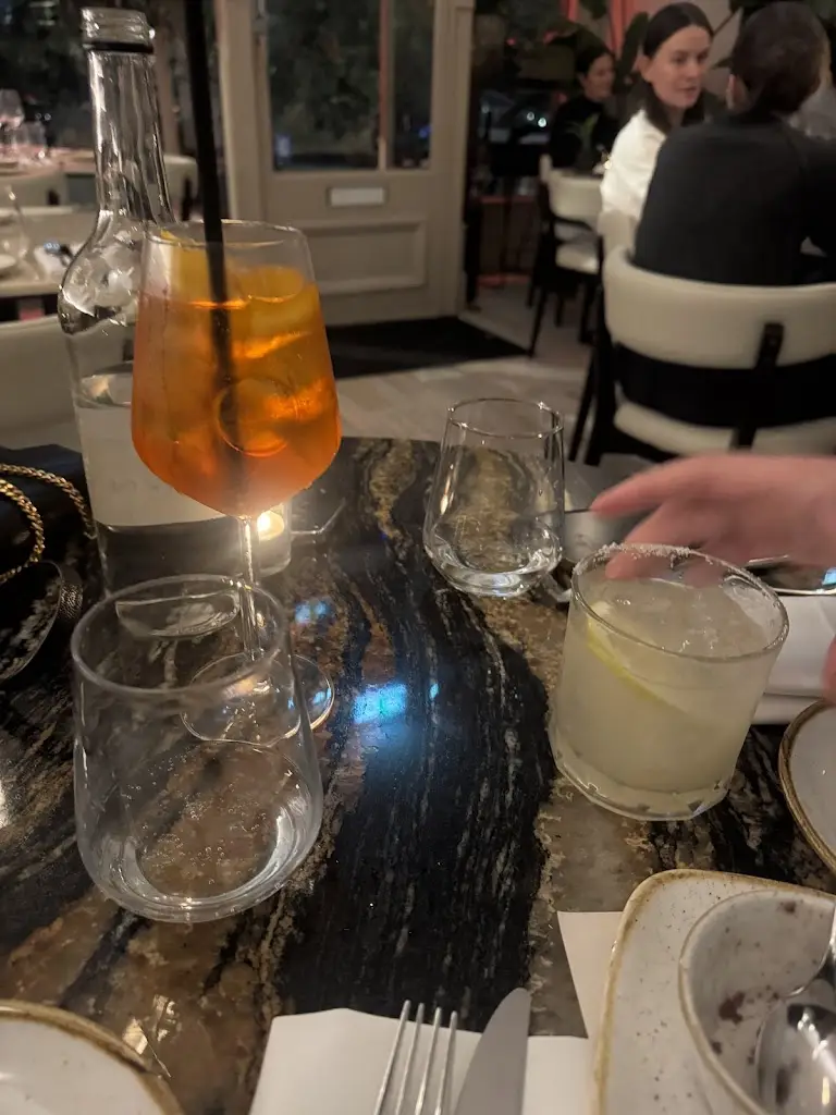 Yasmin Taha_Terra Moderna_Belsize Park_review