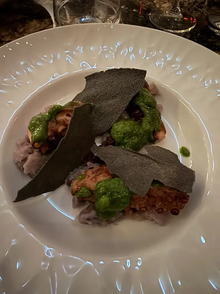 Scott T_Terra Moderna_Belsize Park_review