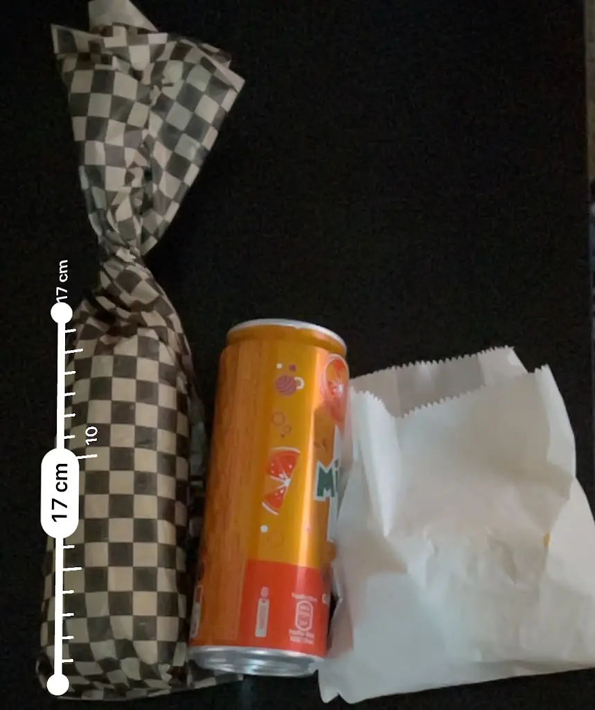 Flying llama_Smokin Patty's Naaz Multicuisine_West Drayton_review