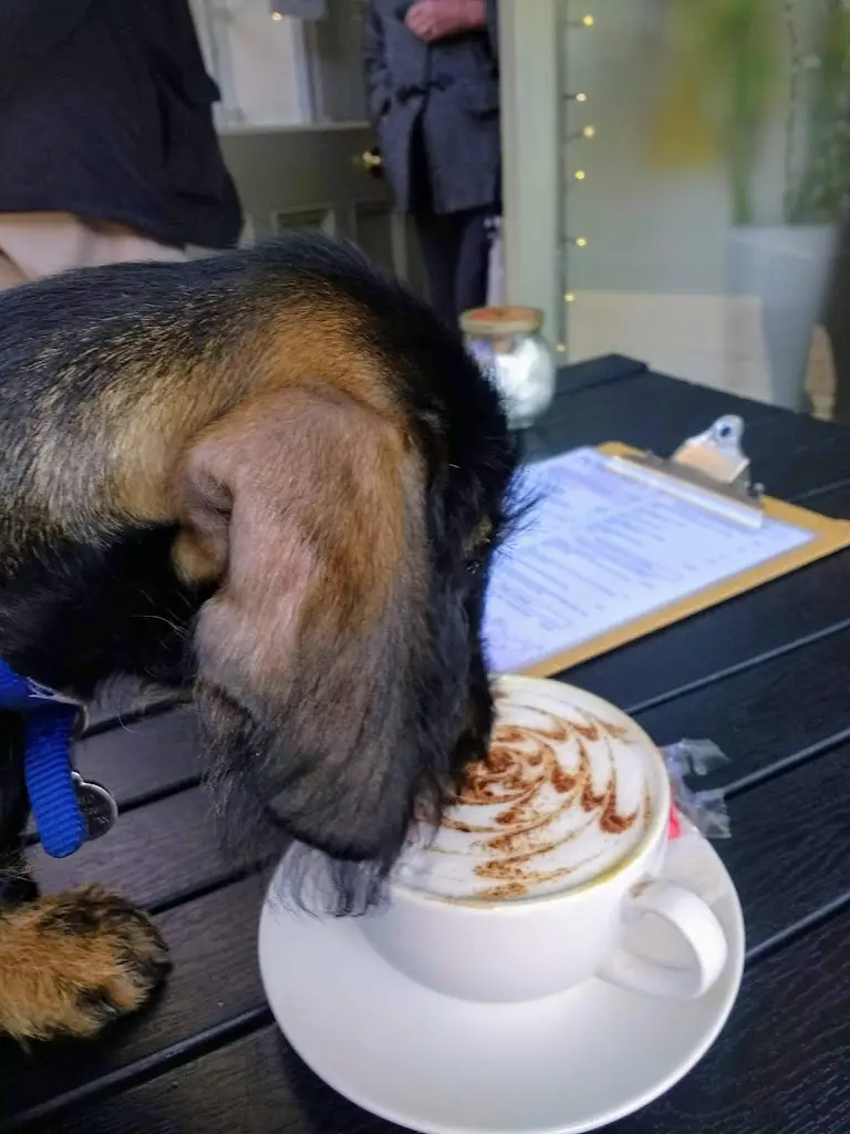 Menu_Pomfrets of Wetherby_Wetherby_immagine_8