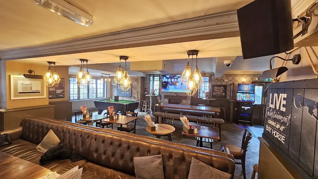 Richy Hypno_Bay Horse_Whickham_review