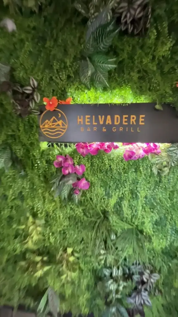 Otema Opoku-Sintim_HELVADERE_West Wickham_review