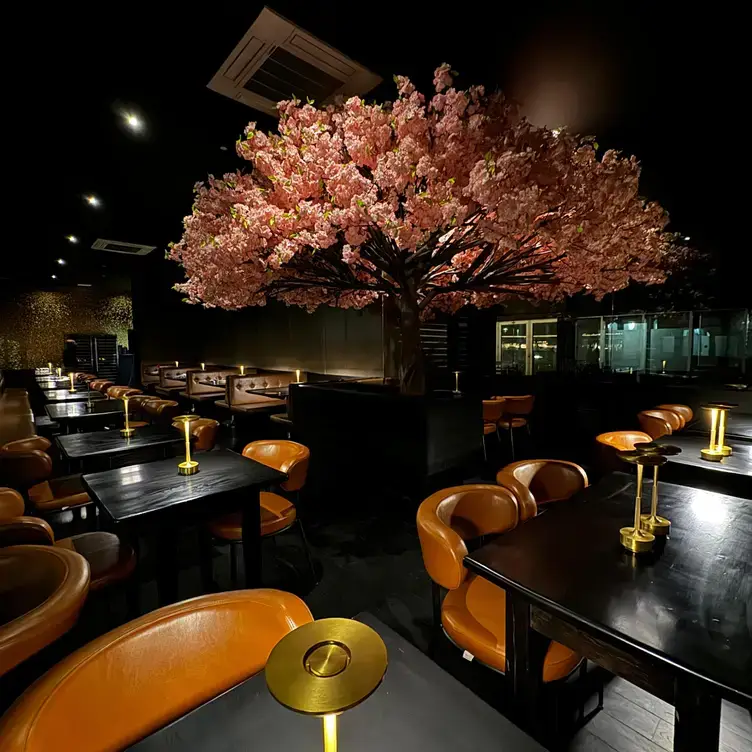 Roca Restaurant & Lounge_Bedford_slider_image_1