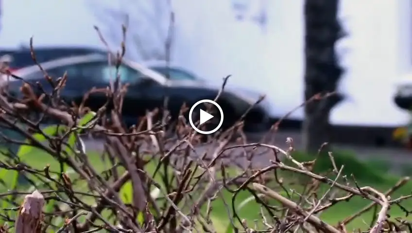 The White House Hotel and Restaurant _Williton_slider_image_2