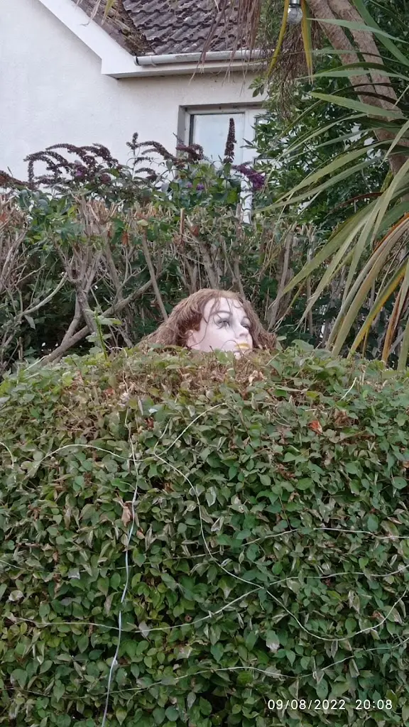 Robin Nuttall_The Wyndham Arms_Williton_review