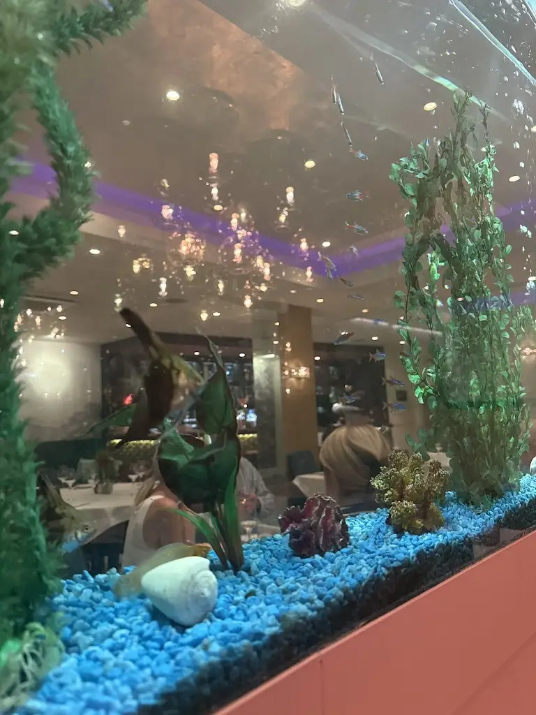 Zoe Wilson_INDIYA_Bedford_review