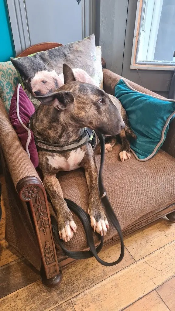 Justine Quarrell_cuckoo café_Wilton_review