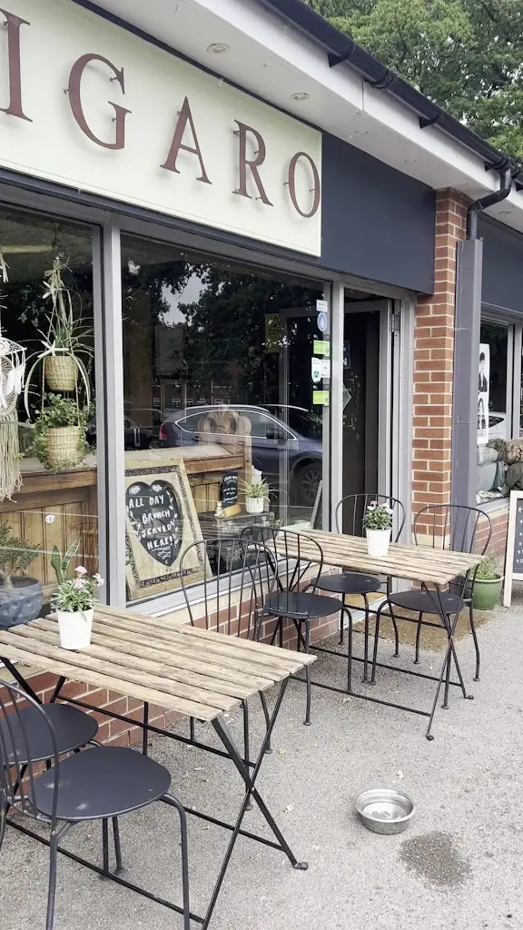 DannyType1_Figaro_Wingerworth_review