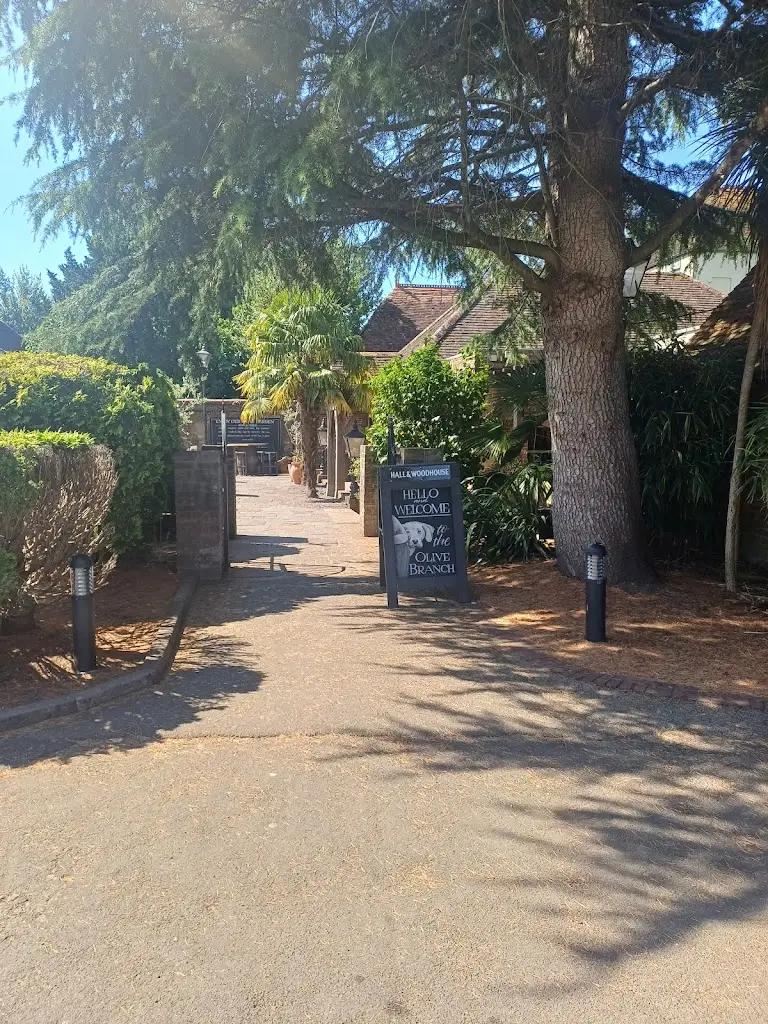 James Brown_The Olive Branch_Wimborne Minster_review