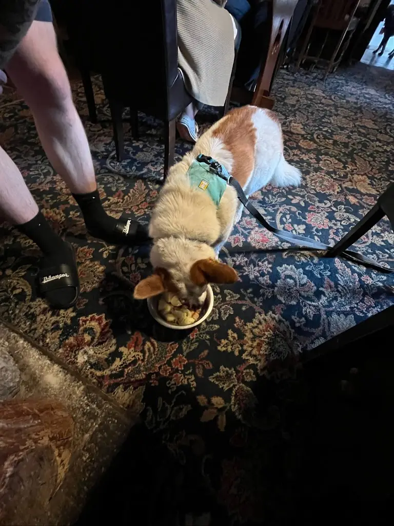 Menu_The Mitre Inn_Witheridge_immagine_7