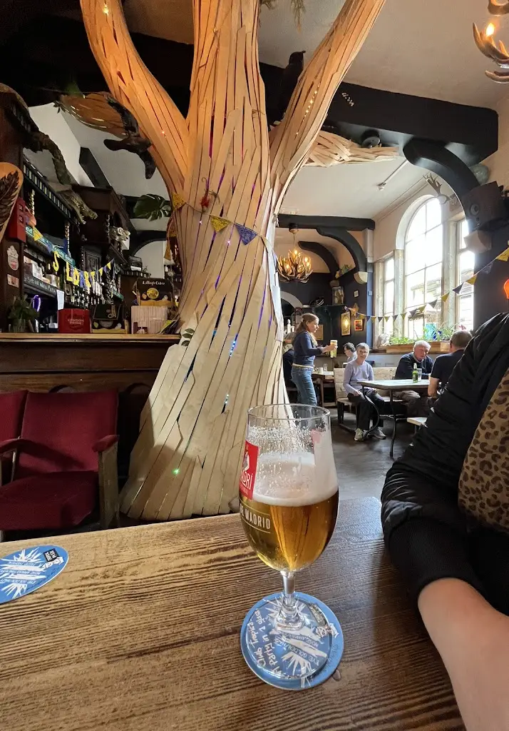 Jon_The Feather Star_Wirksworth_recensione