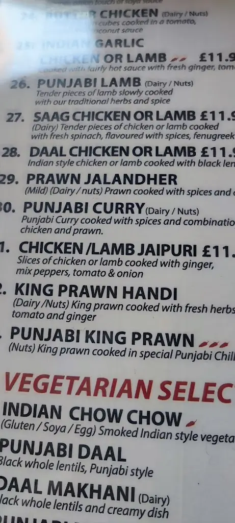 Menu_Taste of India_Wiveliscombe_image_1