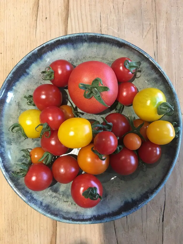 Menu_Phoenix Kitchen_Wiveliscombe_image_2