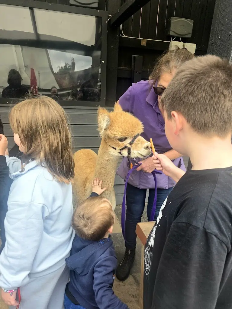 Clare Pittaway_The Rose & Crown_Wolston_review