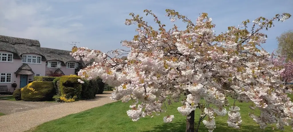 Marta Foronda_Hermanus bar and family dining_Winterton_review