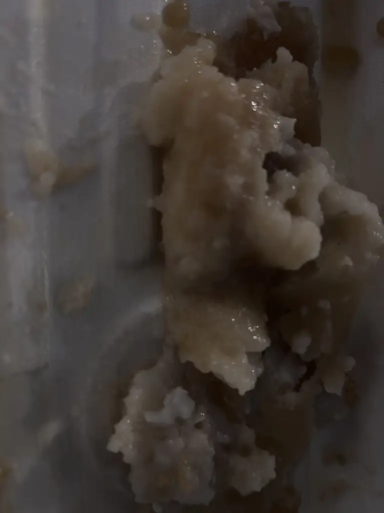 Menu_Market Hill Fisheries_Winterton_image_5