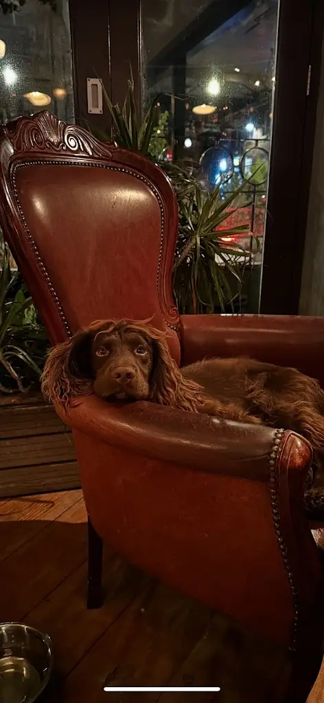 James_The Bubble Room_Alderley Edge_review