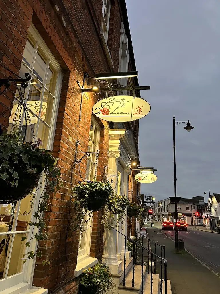 Daniel Flynn_Lian_Witham_review