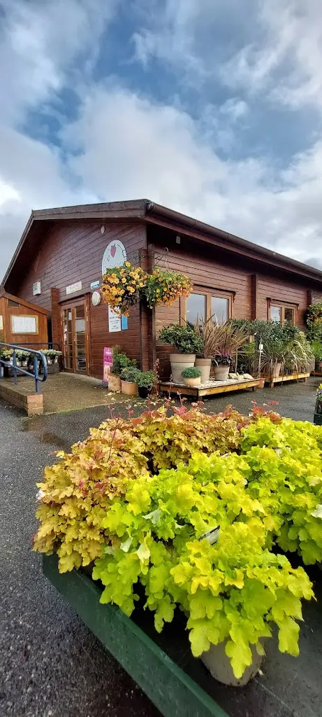 Hamid Mahmood_The Strawberry Tea Room at Olivers_Witham_review