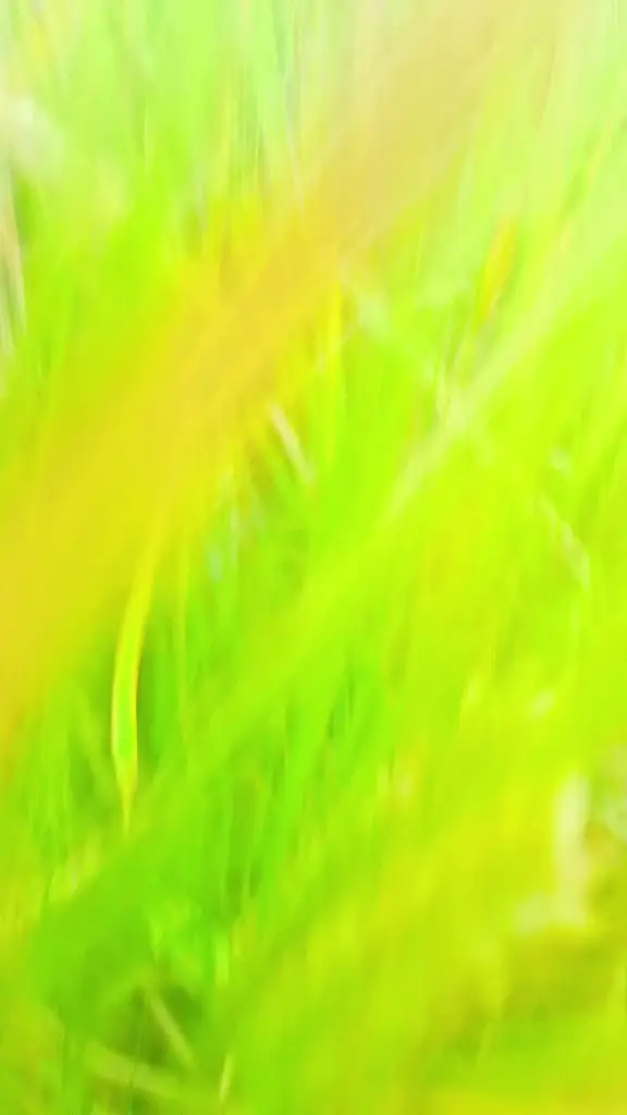 Wood Street Village_Wood Street Village_slider_image_2