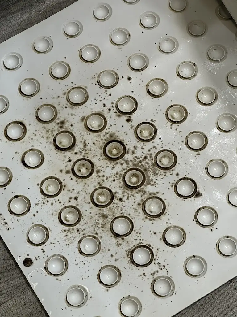 Corinna Allen_The Villa Wrea Green_Wrea Green_review