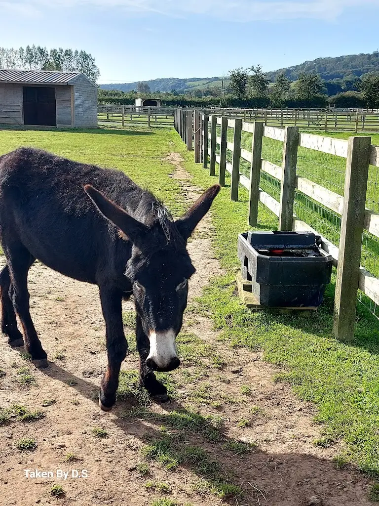 Dee S_Grazers cafe_Wroxall_review