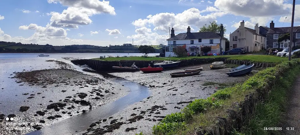 ros mcdermid_The Olde Plough Inn_Bere Alston_review