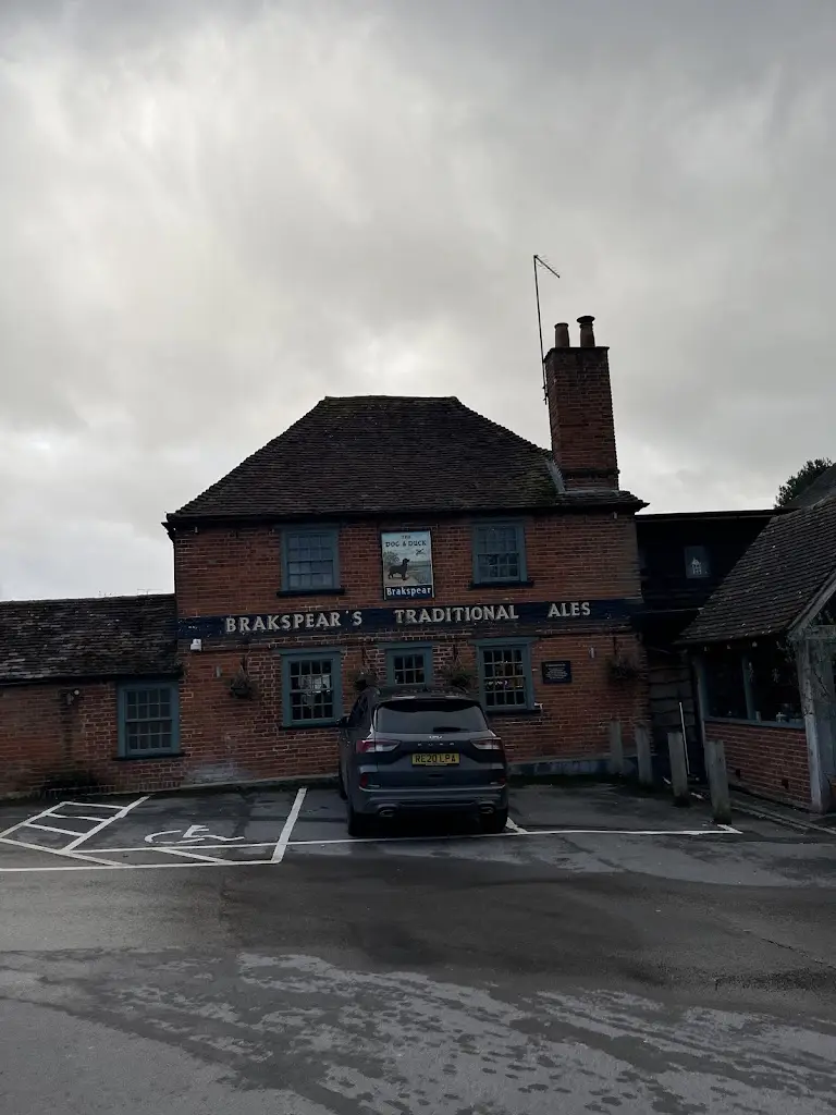 Matt H_The Dog & Duck_Wokingham_review