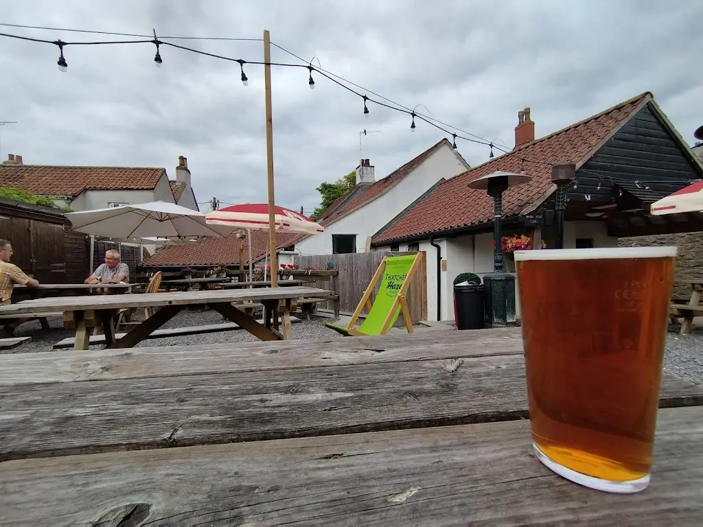 Timmo _The Butcher's Arms_Yatton_review