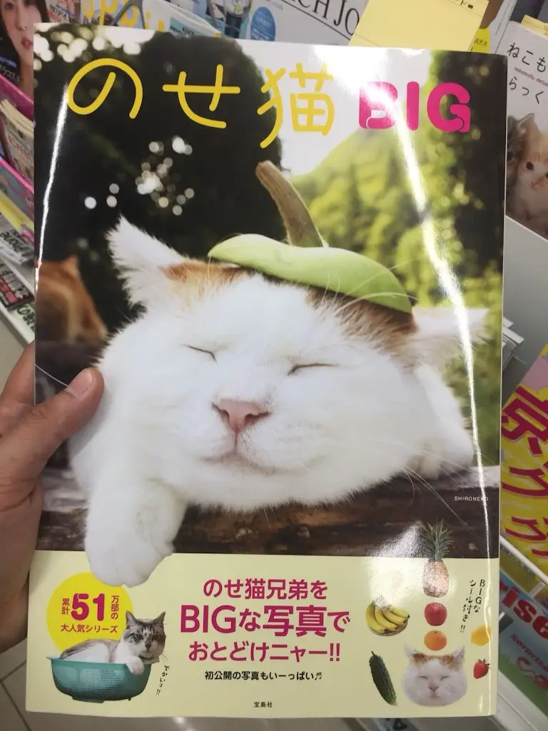 Roman Sexface_That Coffee Place_Yatton_review