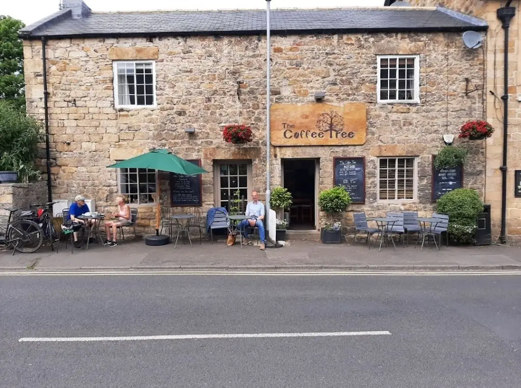 Richard van Gils_The Coffee Tree_Wylam_review